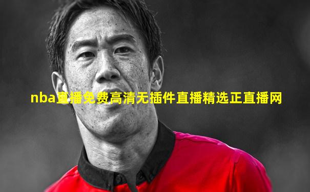 nba直播免费高清无插件直播精选正直播网