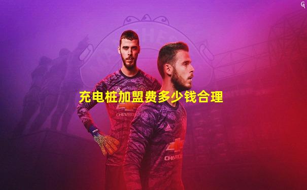 充电桩加盟费多少钱合理