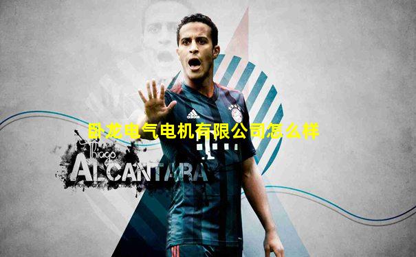 卧龙电气电机有限公司怎么样
