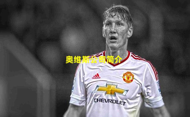 奥维斯公司简介