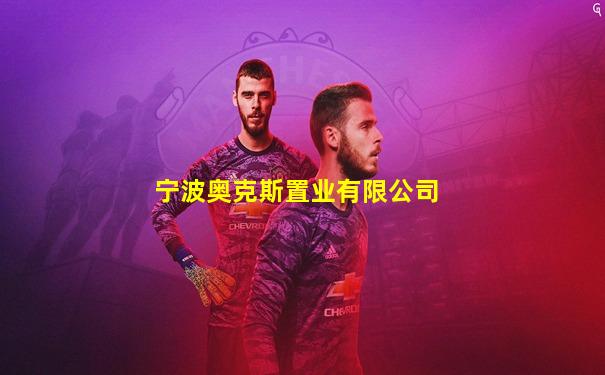 宁波奥克斯置业有限公司