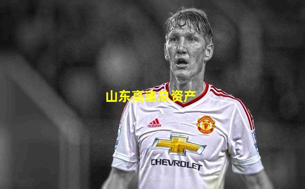 山东高速总资产