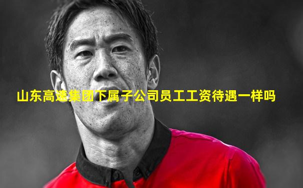山东高速集团下属子公司员工工资待遇一样吗