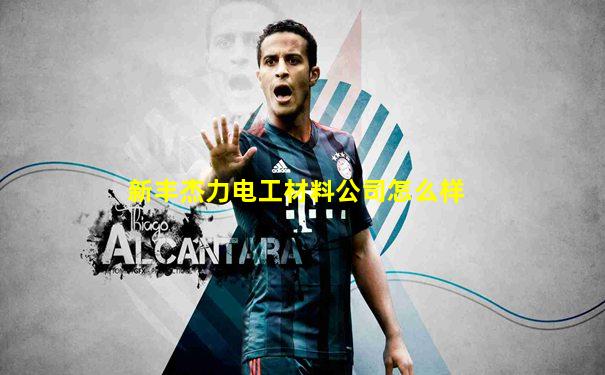 新丰杰力电工材料公司怎么样