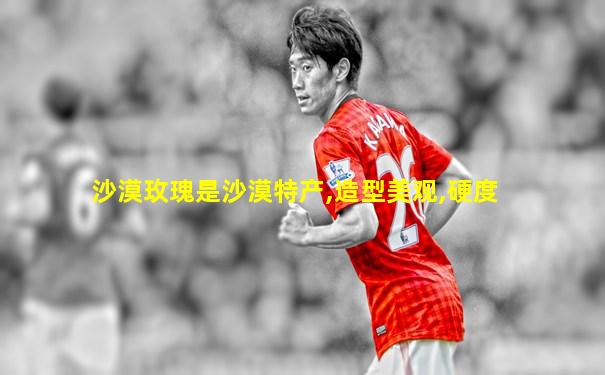 沙漠玫瑰是沙漠特产,造型美观,硬度