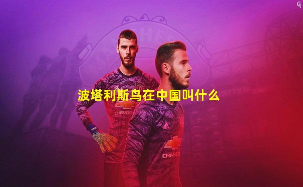 波塔利斯鸟在中国叫什么