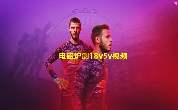 电磁炉测18v5v视频