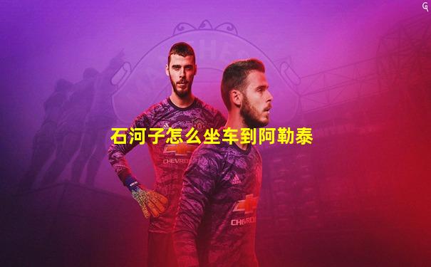 石河子怎么坐车到阿勒泰