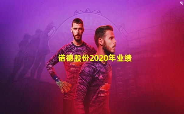 诺德股份2020年业绩