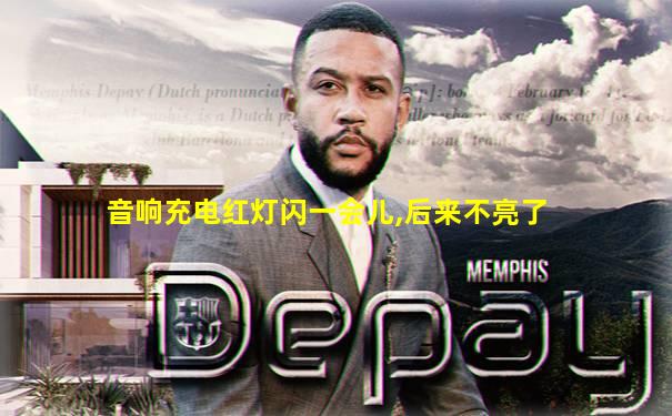 音响充电红灯闪一会儿,后来不亮了